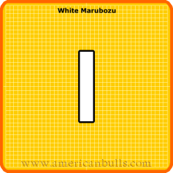 White Marubozu Pattern