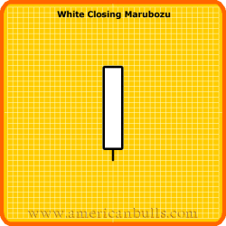 White Closing Marubozu Pattern