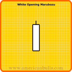 White Opening Marubozu Pattern