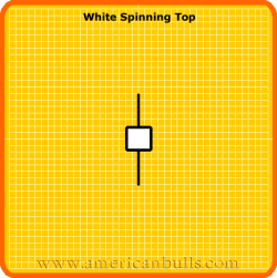 White Spinning Top Pattern